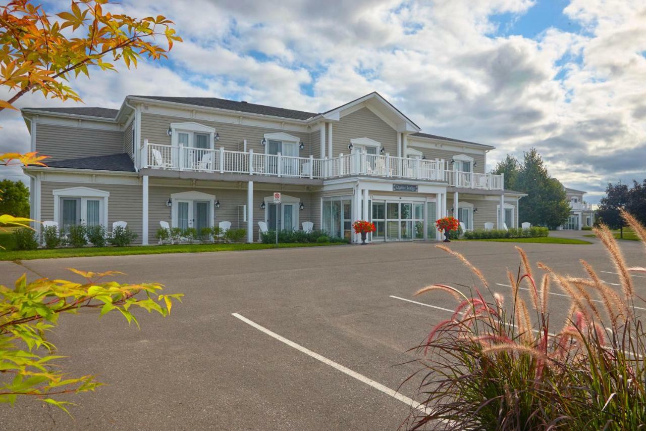 The Waring House Picton Exterior foto